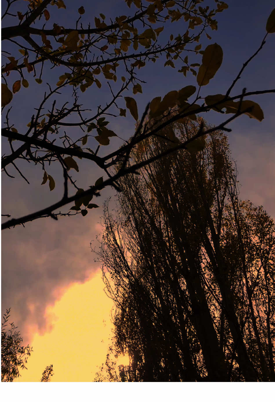 جب انسان اچھے لوگوں سے بھی ڈرنے لگے   تو سمجھ جانا کسی نے اعتبار بڑے سلیقے سے توڑا ہے۔🖤 #anisthetics #trending #foryoupage #fyp 