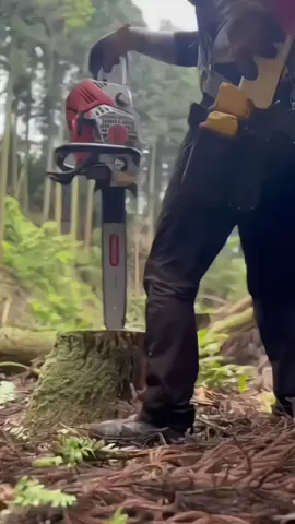 JLD Chainsaw 55CC 2TAK 20” Mes#promo #viral #sinso#buruanchekout 