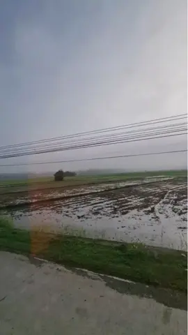 Traversing the province of Iloilo 📍 Iloilo 🗺️ Panay Island, Philippines 🇵🇭 🗓️ October 2025 #publictransport #publictransportation #ceresliner #ceresbus #landtrip 