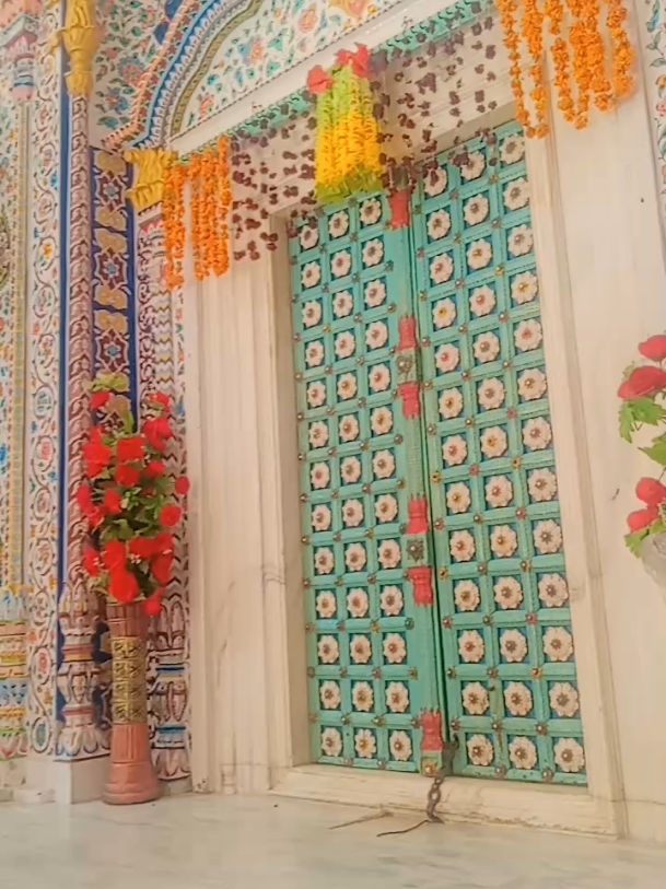 ##TikTok ##پیرسیال_لجپال🙏🙏🙏❤️💚🌹 ##پیرسیال_لجپال🌹🌹🌹 ##Foryou ##100kviews ##