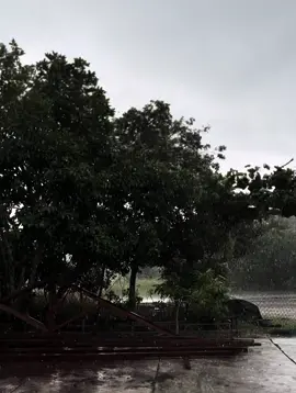 #fyp #xyzabc #mxking 