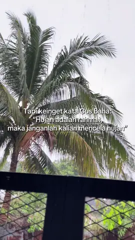 #fyppppppppppppppppppppppp #jusforyou #jusbanjarbaru #jusbuahbanjarbaru #kulinerbanjarbaru 