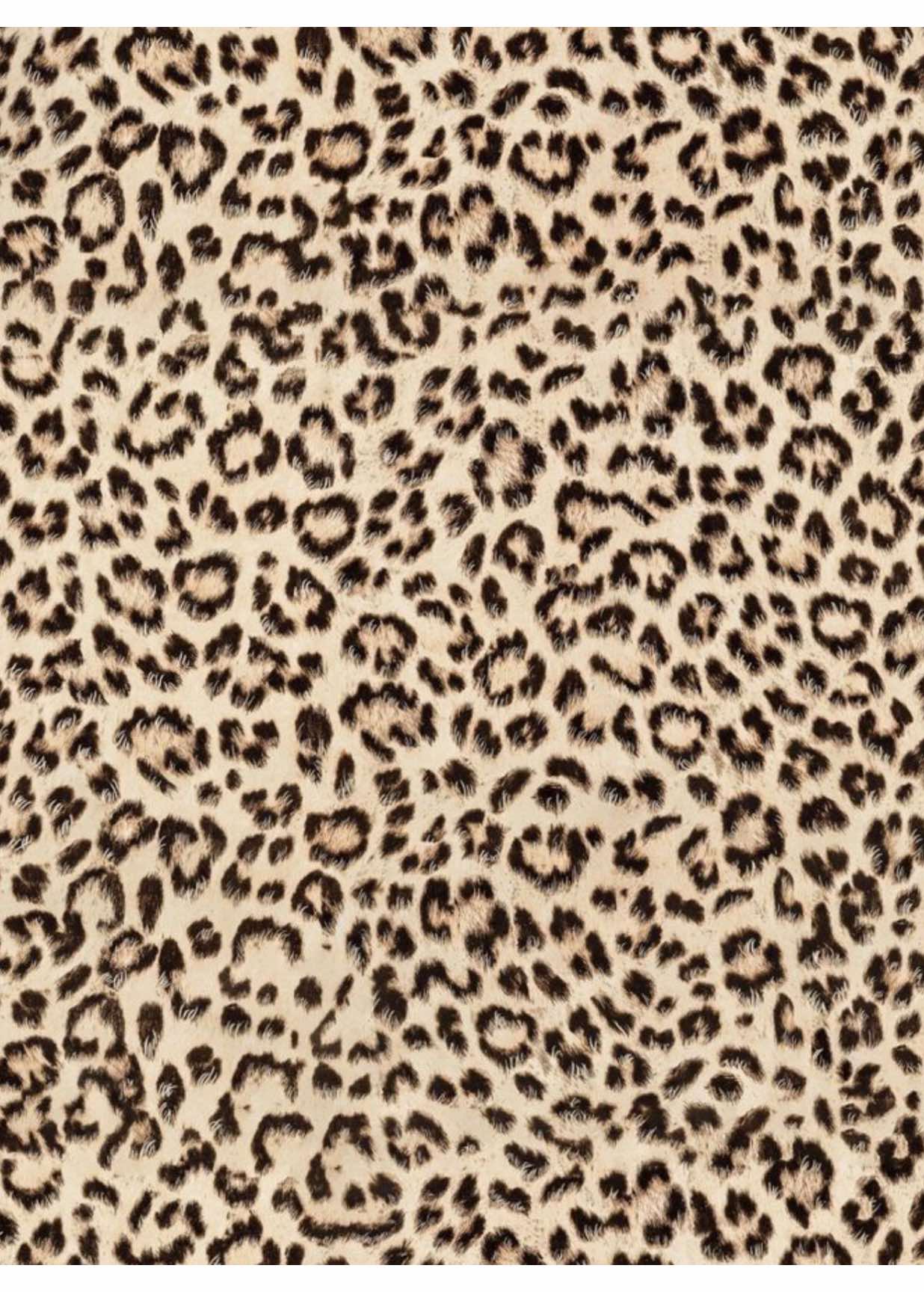 kalogeras sisters scream movie intro scenepack! 🍿 | creds would be appreciated! 💞 / @sundaykalogeras @demitrakalogeras @Eliana Kalogeras @Noah Risling @Patrisha #kalogerassisters #noahrisling #xzycba #viral #fyp 