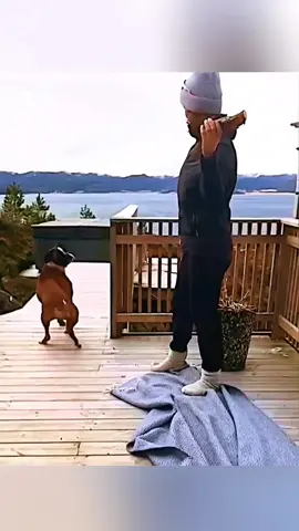 Funny animals 😂😂  #pet #cat #dog #cute #animals #foryou #typ