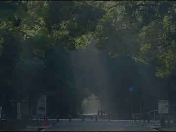 Song: Đông miên 2023 #viral #nhactrungquoc #lyrics 