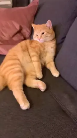 empus lewat lagi ya sobat tiktok 🤭#fyppppppp 