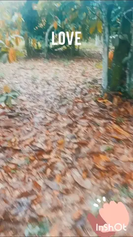 love and jealousy #videoviral 