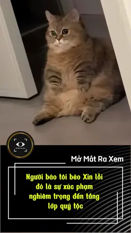 Người bảo tôi béo Xin lỗi đó là sự xúc phạm nghiêm trọng đến tầng lớp quý tộc #dongvat #haihuoc #trending #hottrend #cliptrieuview 