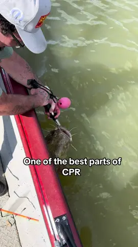 @SeaArk Boats #slungercatoutdoors #fishingtiktok #tipsandtricks 