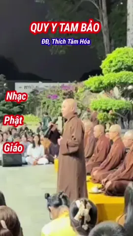 Quy Y Tam Bảo  #nammobonsuthichcamauniphat #nammoadidaphat #nammoquantheambotat🙏🙏 