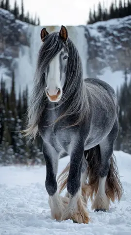 Winter Majesty #Background #LiveWallpaper #Aesthetic #Nostalgia #freebieclip