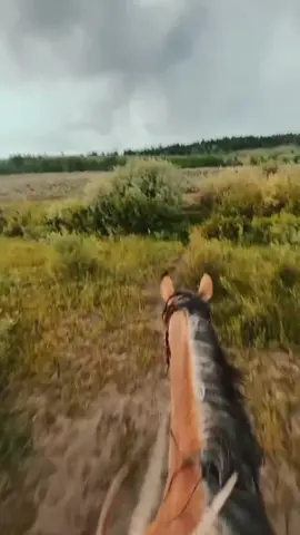 #farm #horse #lover #country #western 