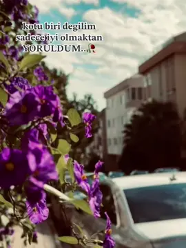 #kesfeteyizzzzzzzzzz #sıtorilikvidyo📌 #🌺💐💐🌺 