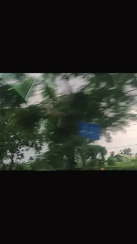 #cay xanh #thanh phố hồ chí Minh #