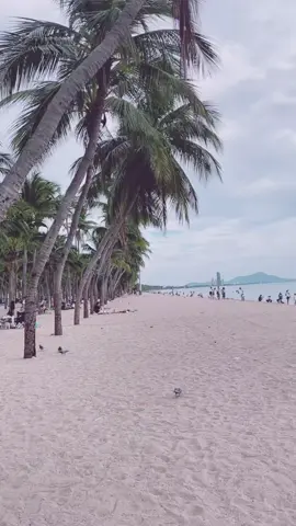 เธอคือความสุขของฉัน#พ่อเลี้ยงเดี่ยว🐶🐶 #บางแสน 