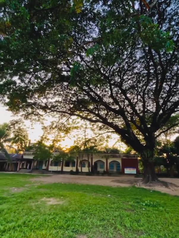 আবার যদি ফিরে পেতাম.. আর কখনো ইস্কুল মিস দিতাম না' I miss you.... 🥹😭🫂 [Ssc batch 2K23] Miss you all my friend 🥹🫂 #fyy #viral #foryou #miss #schoollife 