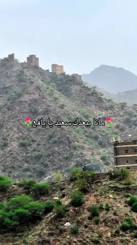 جمال المنظر السعدي 🥺🔥#شعب_البارع_السعدي_يافعنا_غير #شعب_البارع #يافعنا_حسينه_شدا_شدا #عدن_يافع_الضالع_ابين_شبوة_حضرموت_المهره #قيس_السعدي 