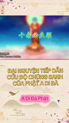 Đại nguyện tiếp dẫn chúng sanh về thế giới Tây Phương cực lạc của Phật A Di Đà #hoathinhphatgiao #hoathinh #nammoadidaphat #nhanqua #xuhuong 