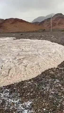 #اكسبلورexplore  #السرو  #حقل_علقان_تبوك_نيوم_الشمال 