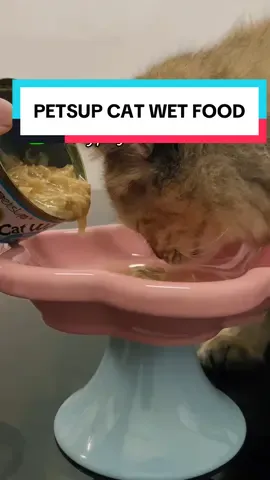 petsup cat wet food #thecopandpets #fyp #petsup #catwetfood #wetfood 