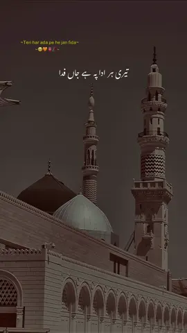 Teri har ada pe hy jan fida🥹🧡🫀🥀 | Subhanallah😇#poetry_status #grow_up #viral_video #following_me #followers_ 