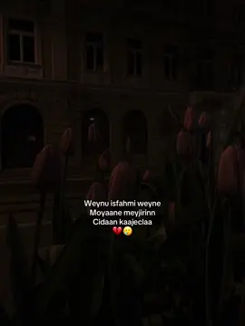 #TempoParou #TrendMomentos #TempoParou 