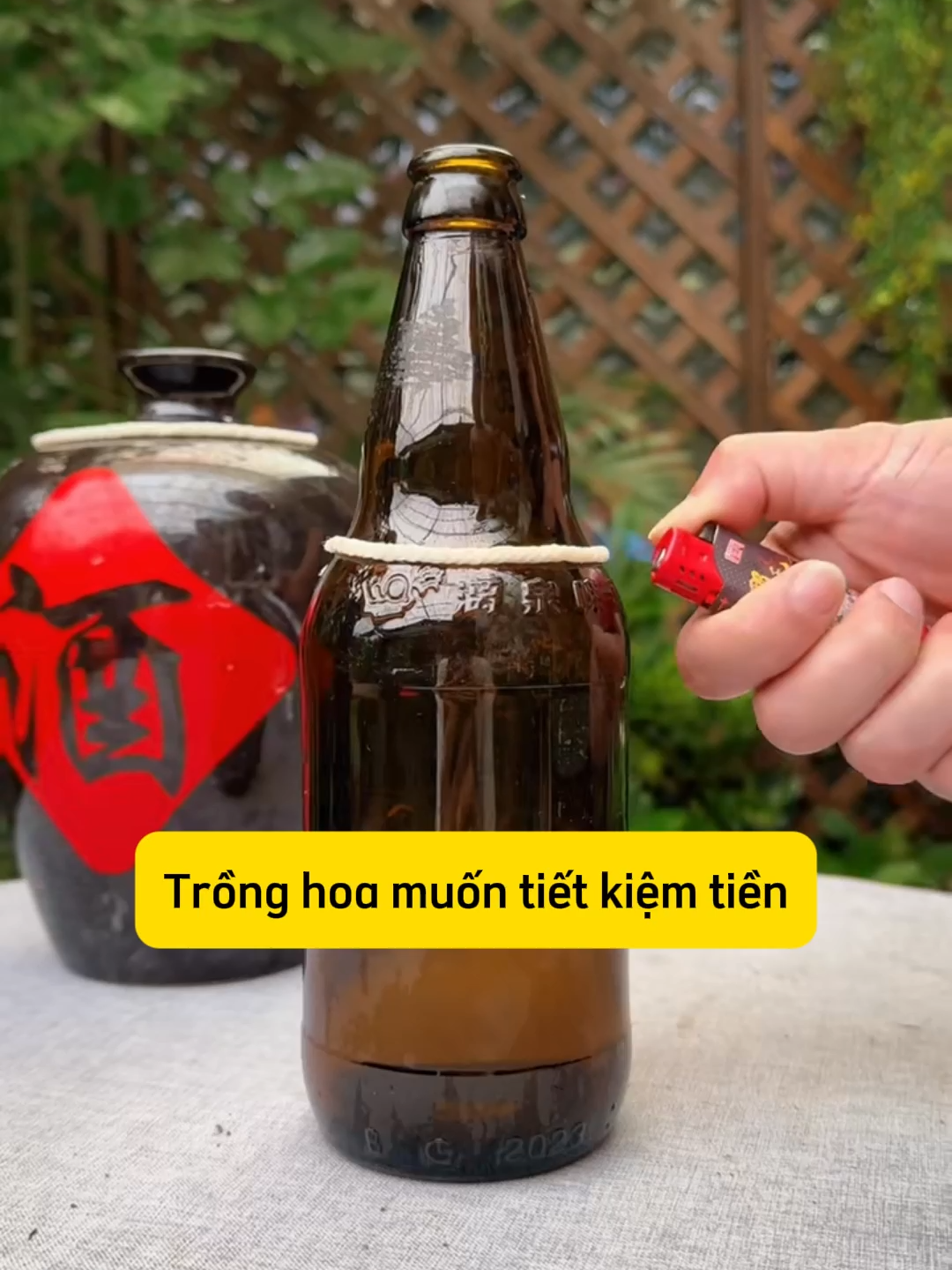 Trồng hoa còn cần tốn tiền sao? #hoalan #mẹo #meotrongcay #lamvuon #vuon #lamvuonvuive #thichlamvuon #trending