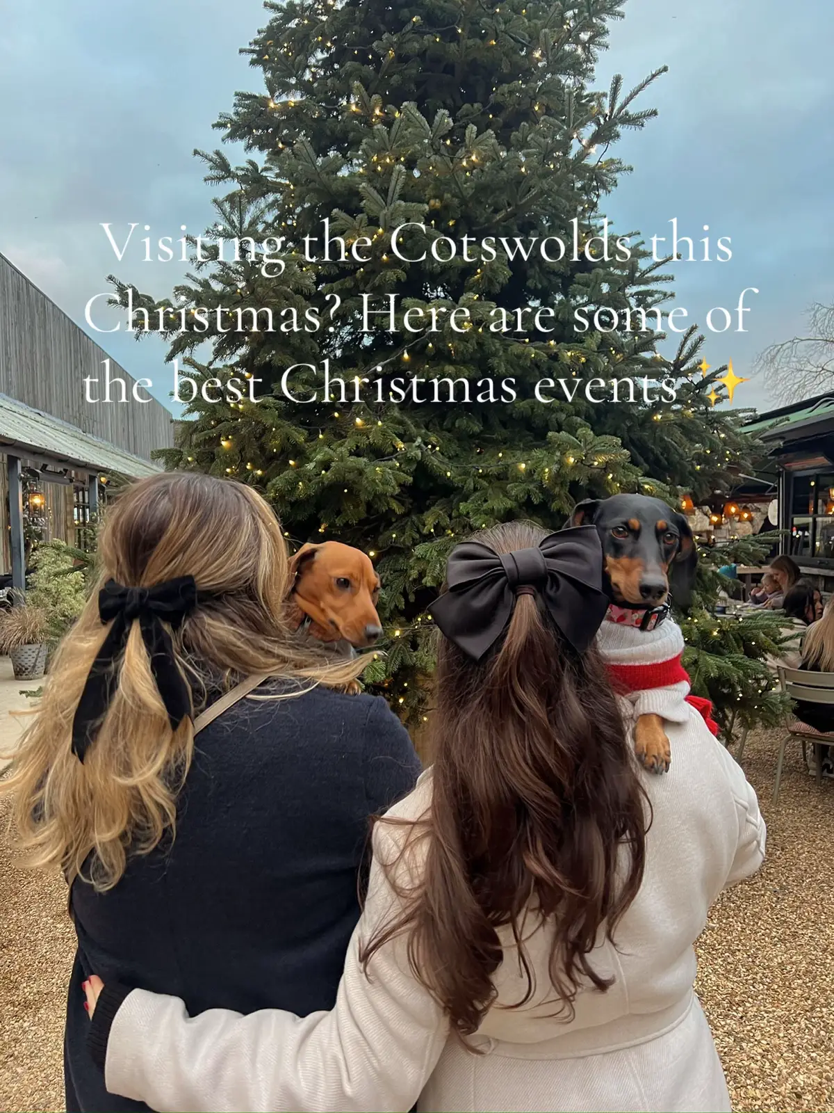 #christmas #cotswoldschristmas #christmascountdown 
