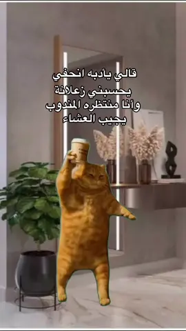 #CapCut #مالي_خلق_احط_هاشتاقات🧢🤍 ##fypシ゚ 