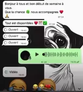 😹😂#toutlemonde #tiktokdebloquemesvuesstp😩🙏🏽 