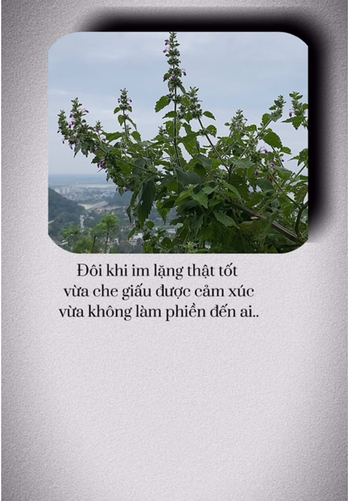 Đôi khi im lặng thật tốt  vừa che giấu được cảm xúc 'vừa không làm phiền đến ai..