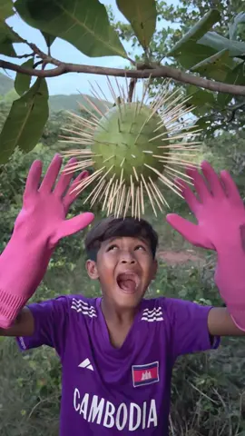 Survival skills in forest #bushcraft #camping #Outdoors 