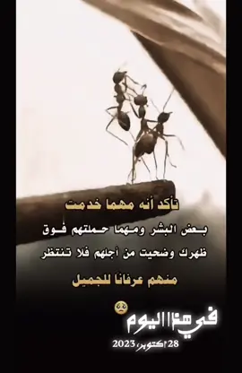 #في هذا اليوم #حكم_وأمثال_وأقوال 