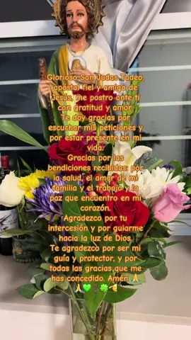 Feliz cumpleaños mi san juditas tadeo 🙏💚💛📿🍀🫡#sanjudastadeo💚 #28deoctubre #patrondeloscasosdificiles #sanjudastadeo #cumpleaños 