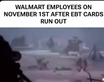#fyp #ebt #walmart #groceryshopping #november 
