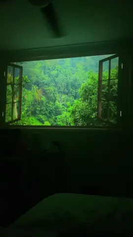 i can go anywhere i want #projector #windowprojector #fyp #bedroom #medieval 