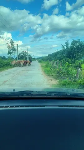 #nguoivanchuyen #xuhuongtiktok 