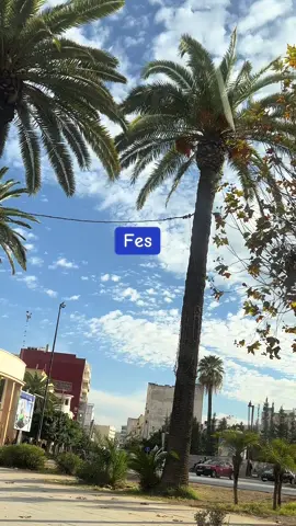 #fes #الشعب_الصيني_ماله_حل😂😂 