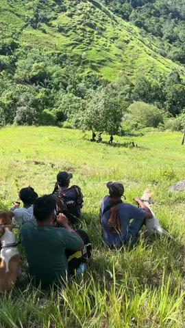 Lokasi berburu di Loneng Singkarak
