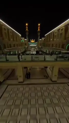 #شور #ياعلي #شور_حتى_الظهور #علي_بن_ابي_طالب #بصره_بغداد_ميسان_ذي_قار_كل_المحافظات 