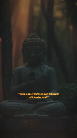 “Tâm không mong cầu, khổ tự nhiên sẽ bớt…#tutam #nammoadidaphat🙏 #phatphapnhiemmau #phatphap #loiphatday 