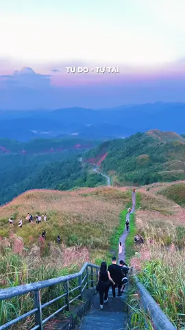 Tự do tự tại thích thật. Đi k mún về ☺️ #trending #xuhuong #phuot #binhlieu