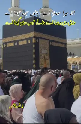 #مدینہ_پاک_مسجد_نبوی_شریف #fypシ #tiktok #foryoupage #foryou 