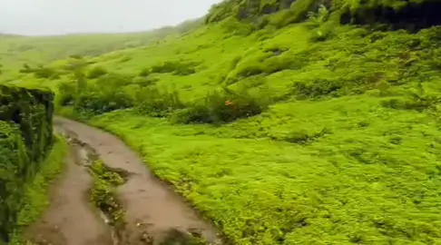 তুমি চাইলেই আজ আমরা এক হতাম, আমাদের মাঝে থাকতো নাহ্ কোন আফসোস, আমাদের সব ইচ্ছেই পূর্ণ হতো...!!😥💔🥀