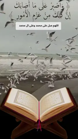 #islamic_video❤️🌸🌸 #sukoon🌸❤️❤️🕋🌸❤️ #fypシ゚viral🖤tiktok 