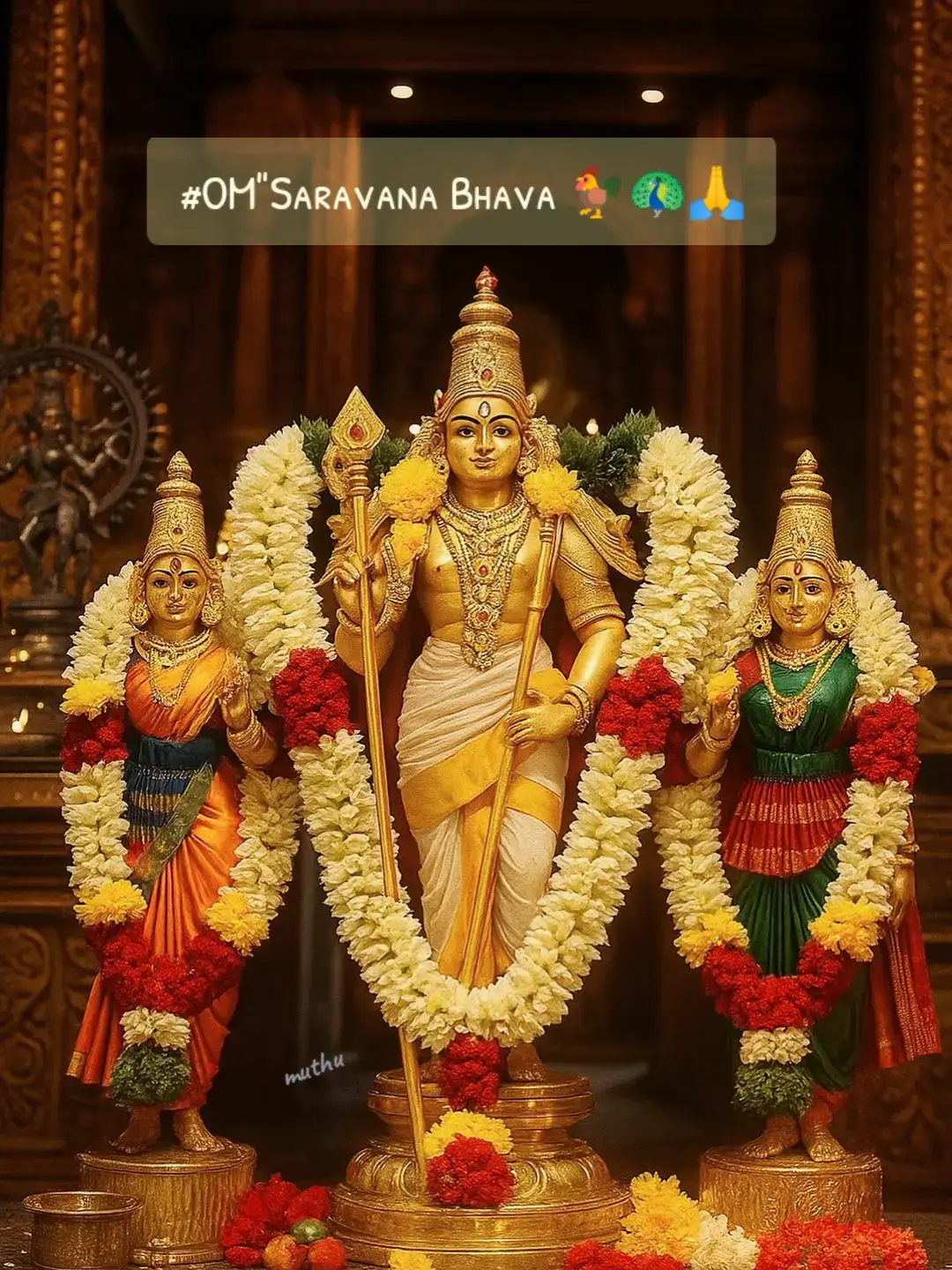 #🐓🦚🙏 #ஓம்_சரவணபவ🙌 #muruganthunai🙏🏻 