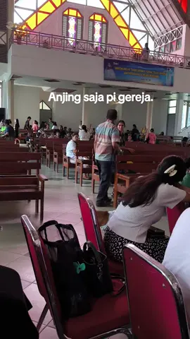 🦮 #viral  #xybca  #dog  #doglover 