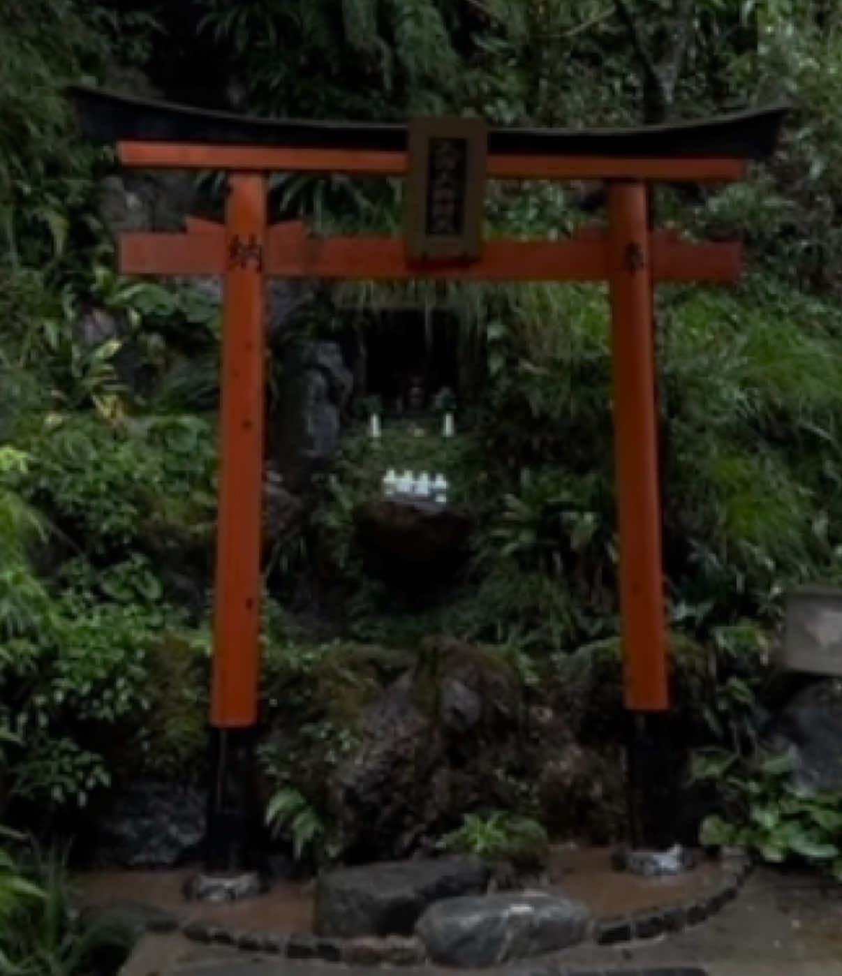 Хаку, знаешь.. #япония #japan #рек #fyp #quietlife 