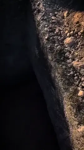 اللهم ثبتنا عند الموت بالقول الثابت ويجعل قبورنا روضة من رياض الجنة 🤍. #اكتب_شي_توجر_عليه #ياسر_الدورسري #اجر_لي_ولكم #اعاده_نشر🔁 #اكسبلورexplore 