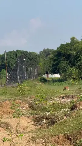 কি অসাধারণ ভারতের পাহাড়ের ভিউ #tiktok #foryou #foryoupage #bangladesh🇧🇩 to#india 💚🇮🇳💐